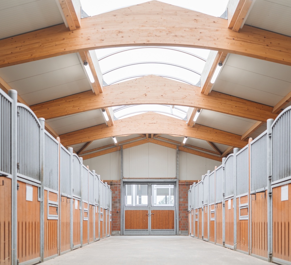 Heller Stalltrakt mit Pferdeboxen aus Holz und Metallgittern auf beiden Seiten, darüber gebogene Holzleimbinder und Lichtbänder